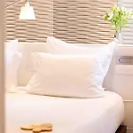 Otel Maison Pic Valence (Drome)